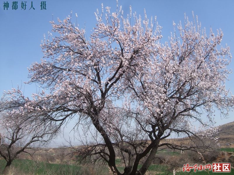 DSCF4063.JPG
