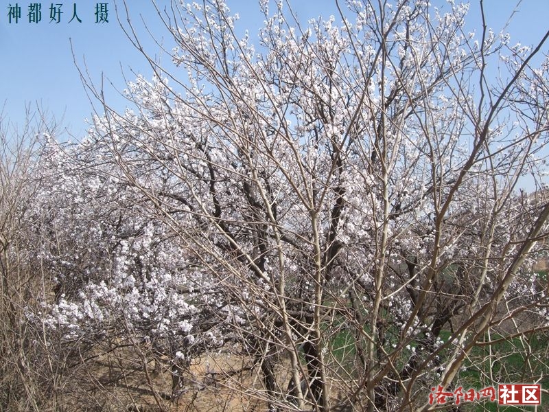 DSCF4066.JPG