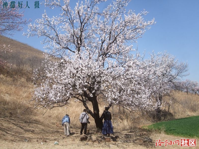 DSCF4065.JPG