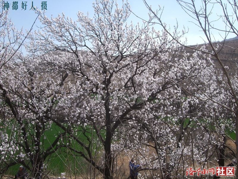 DSCF4067.JPG