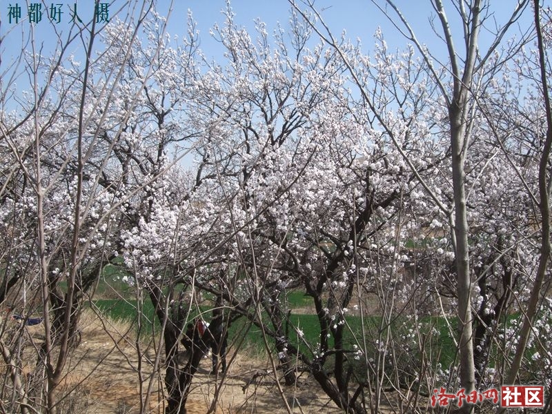 DSCF4068.JPG