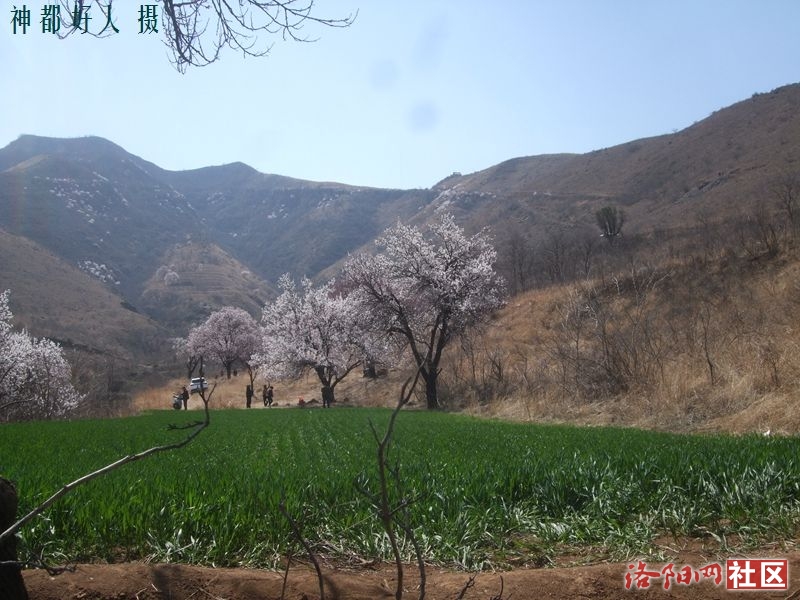 DSCF4069.JPG