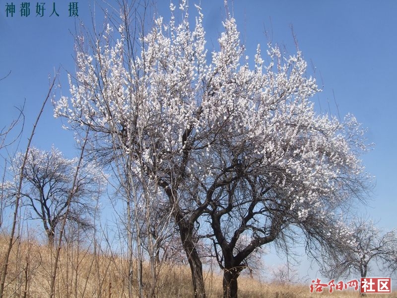 DSCF4070.JPG