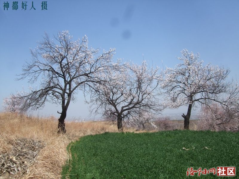 DSCF4071.JPG