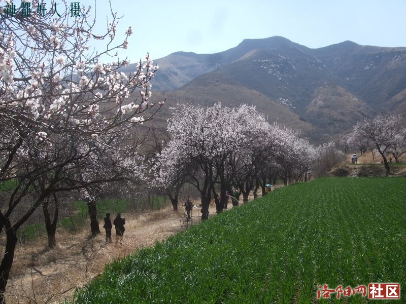 DSCF4072.JPG