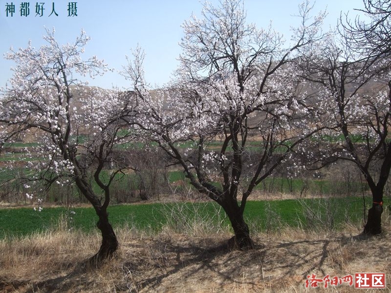 DSCF4074.JPG
