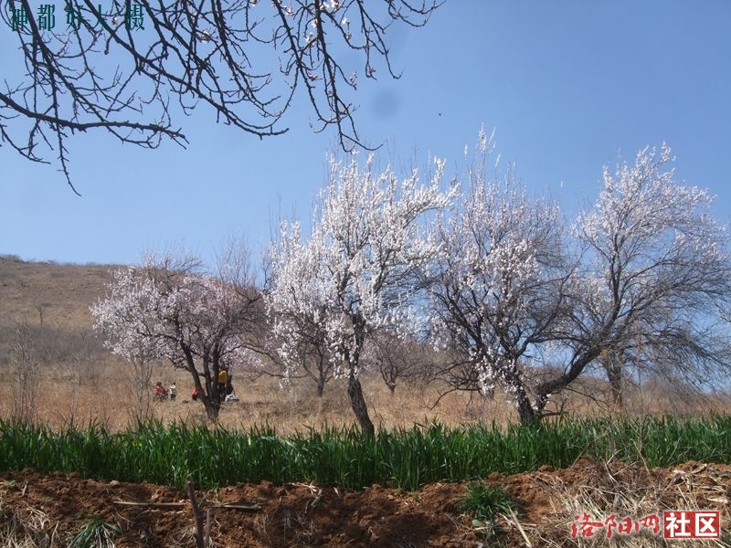 DSCF4075.JPG