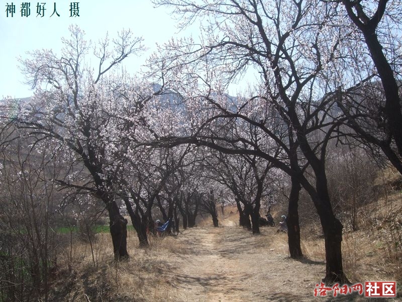 DSCF4076.JPG