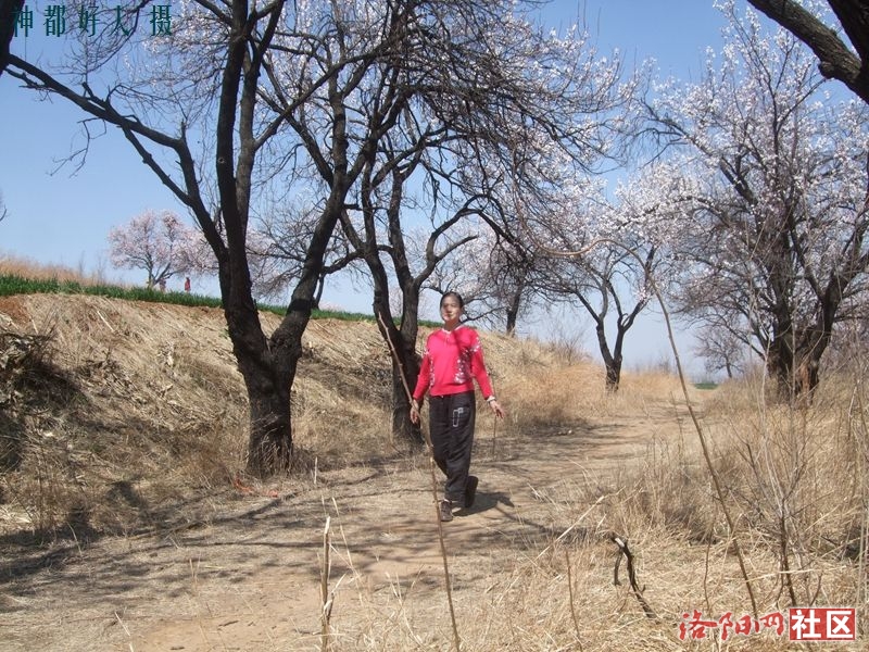 DSCF4079.JPG