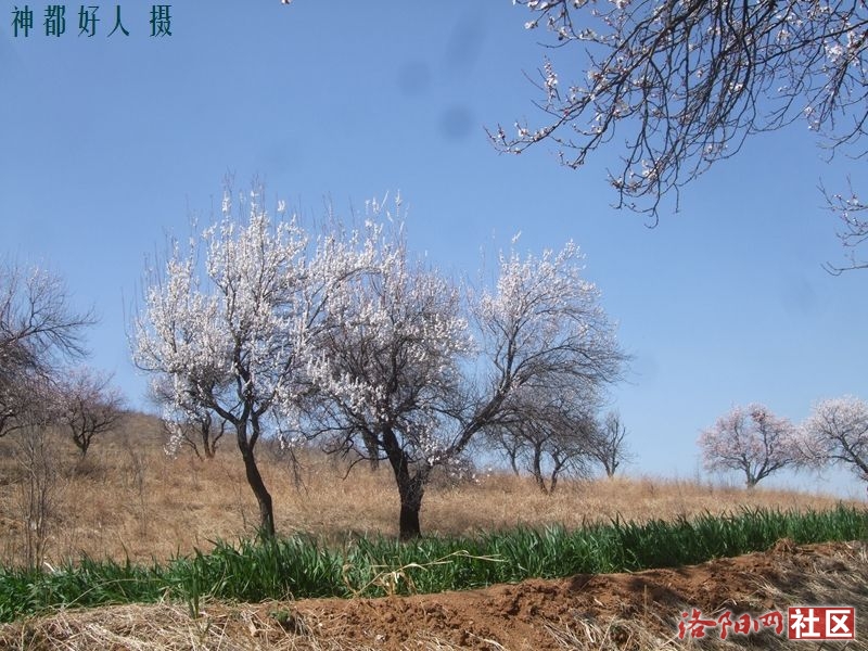 DSCF4081.JPG
