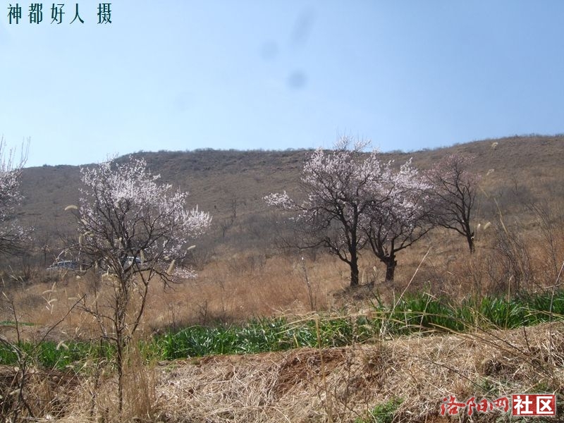 DSCF4082.JPG