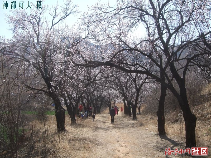 DSCF4084.JPG