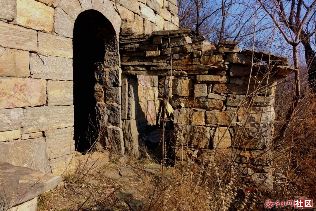 88.jpg