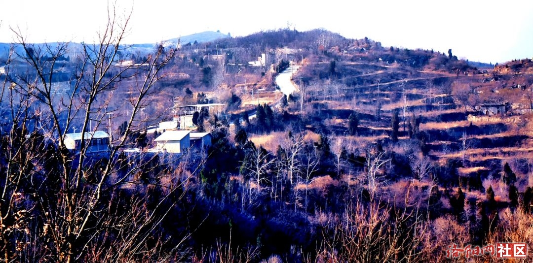 90.jpg