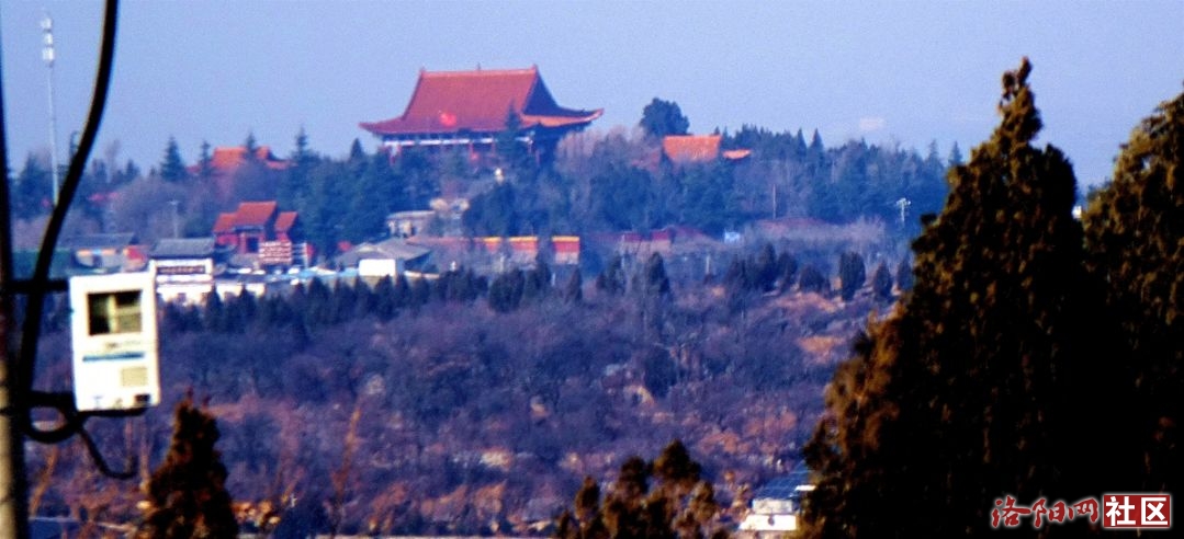 91.jpg