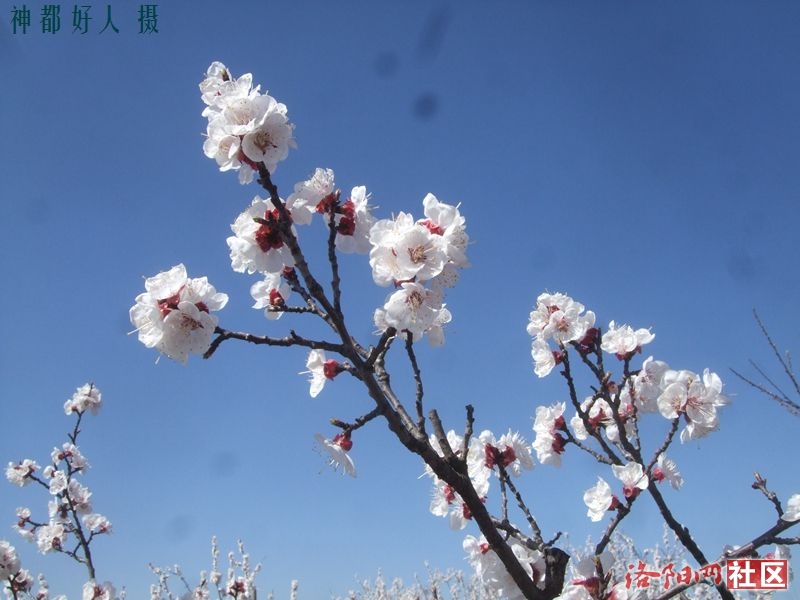 DSCF4026.JPG