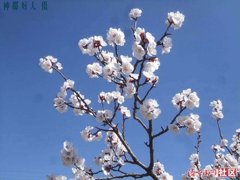 DSCF4038.JPG