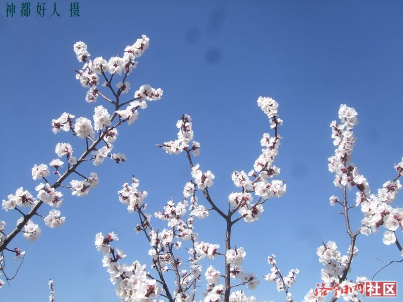 DSCF4039.JPG