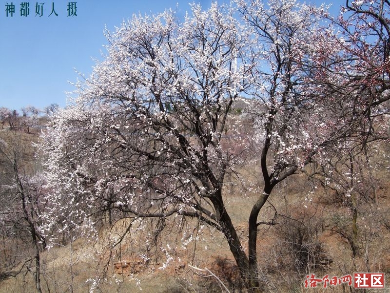 DSCF4064.JPG