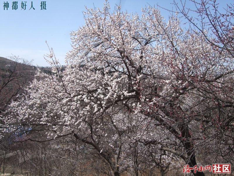 DSCF4079.JPG