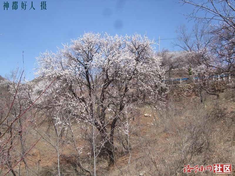 DSCF4080.JPG