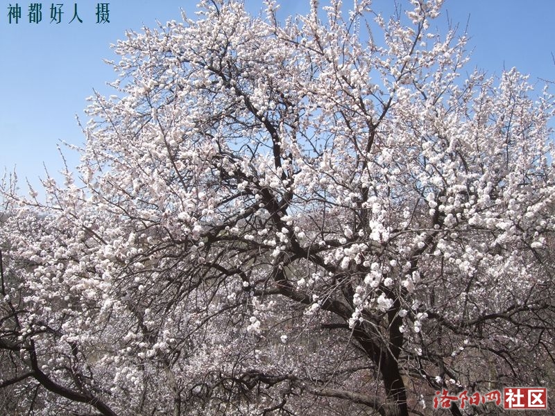 DSCF4084.JPG