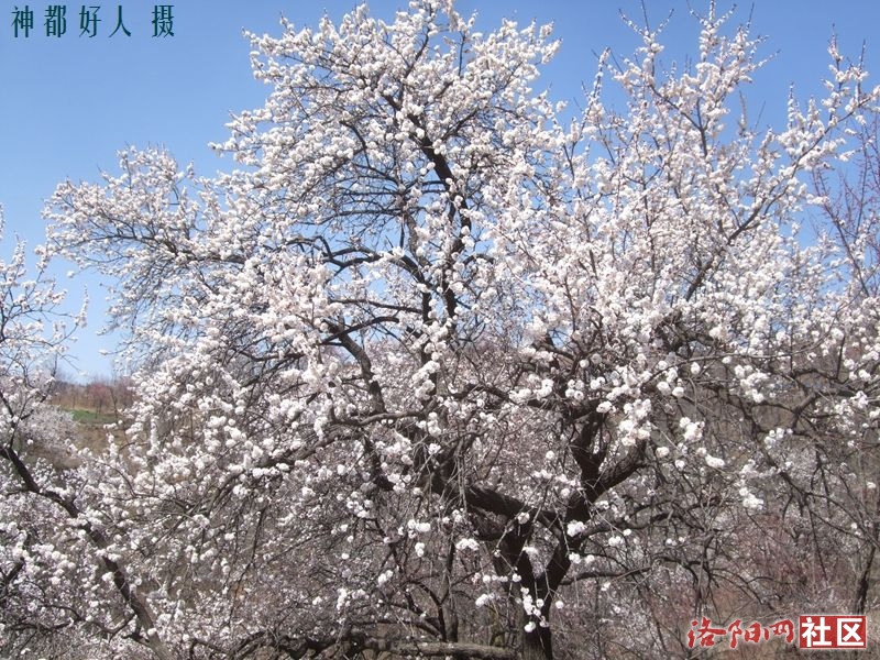 DSCF4086.JPG