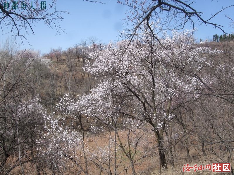 DSCF4091.JPG