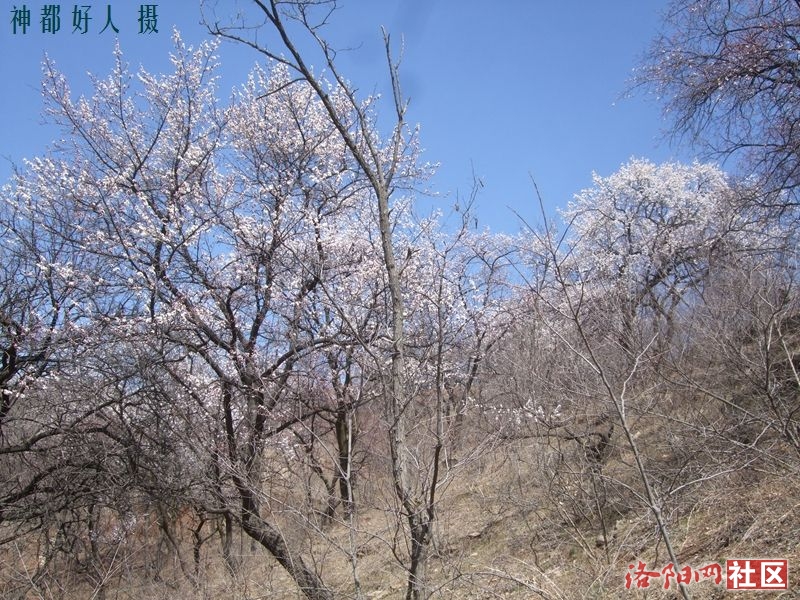 DSCF4092.JPG