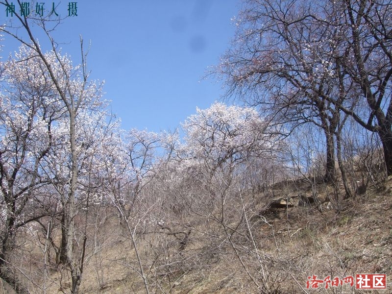 DSCF4093.JPG