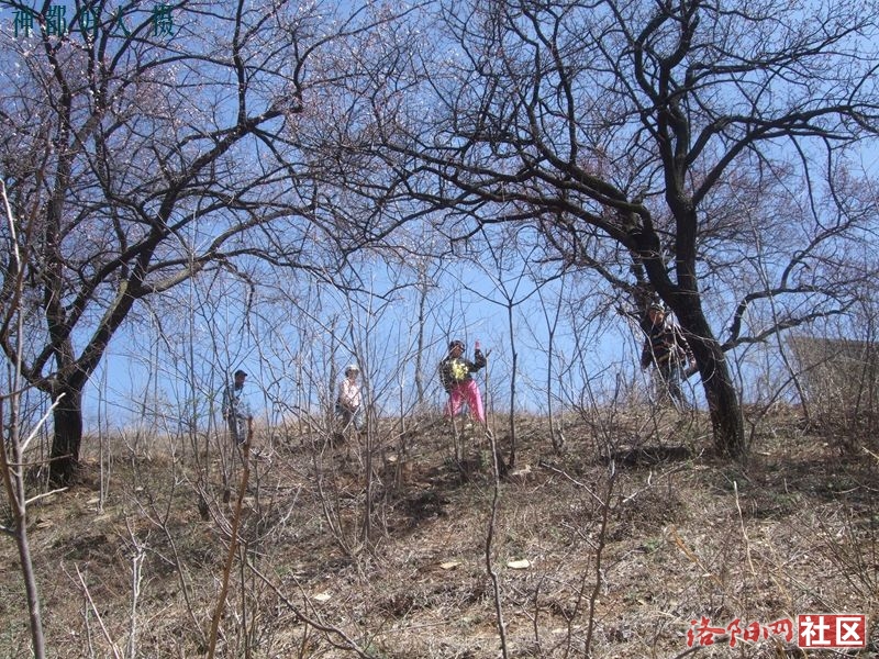 DSCF4094.JPG