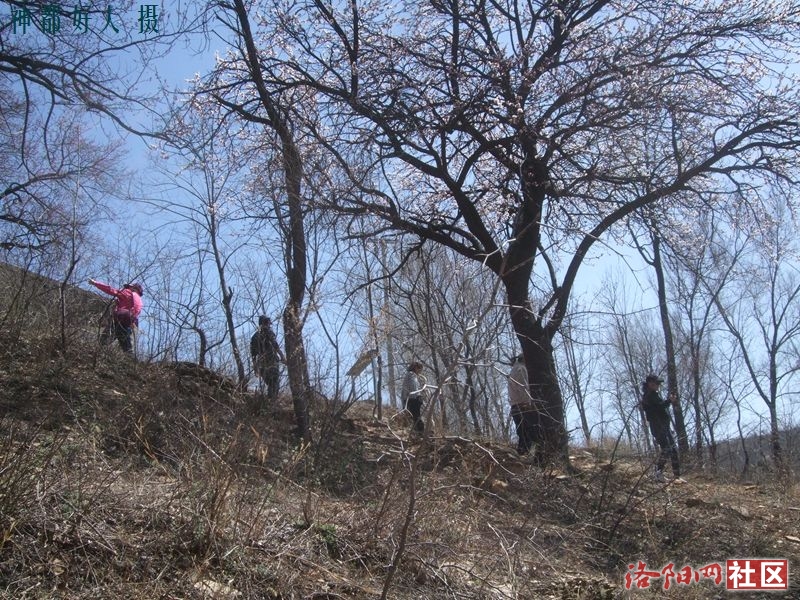 DSCF4095.JPG