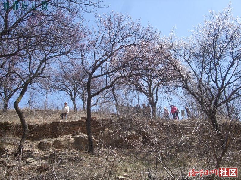 DSCF4096.JPG