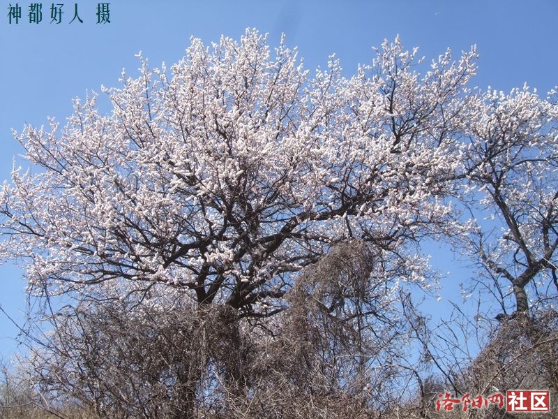 DSCF4102.JPG