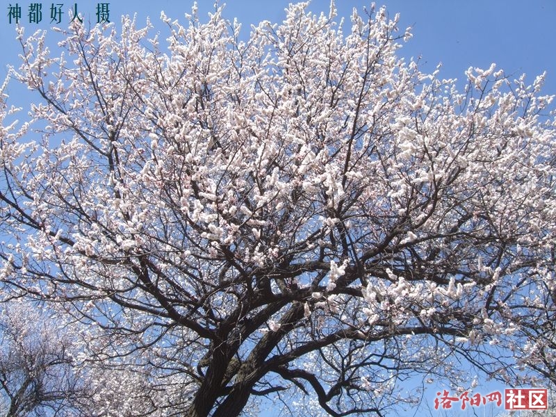 DSCF4103.JPG