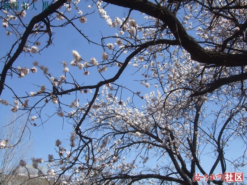 DSCF4114.JPG