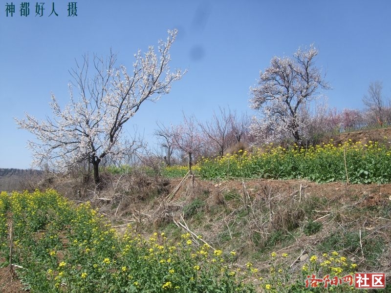 DSCF4124.JPG