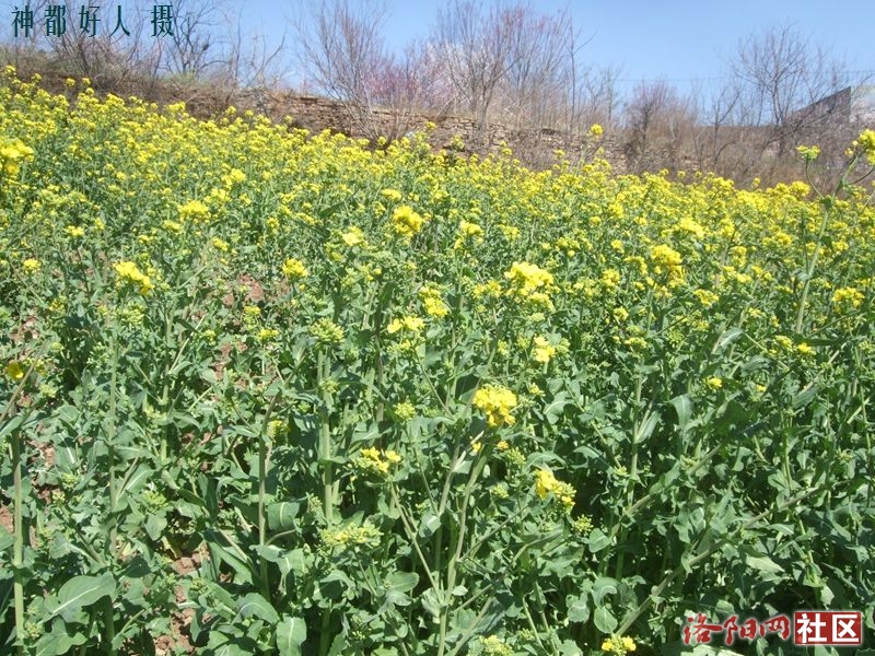DSCF4125.JPG