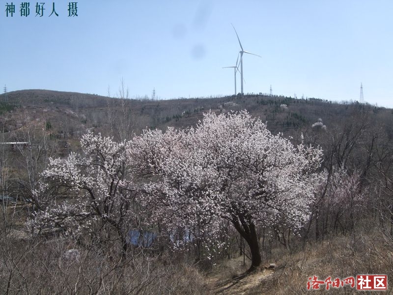 DSCF4140.JPG