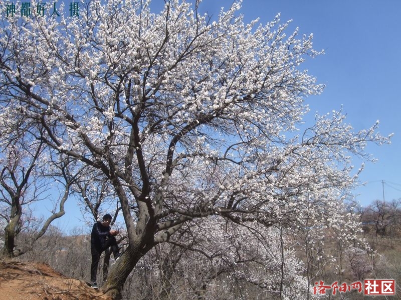 DSCF4141.JPG