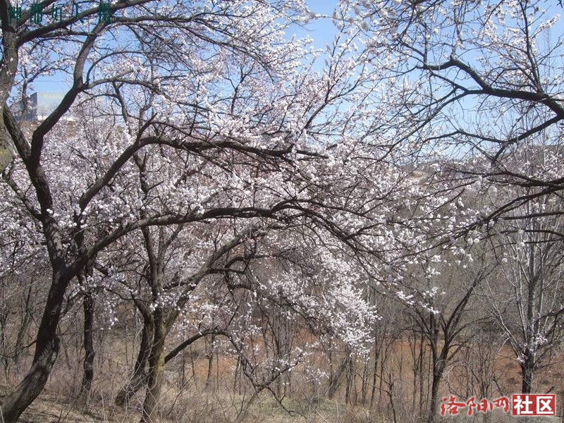 DSCF4143.JPG