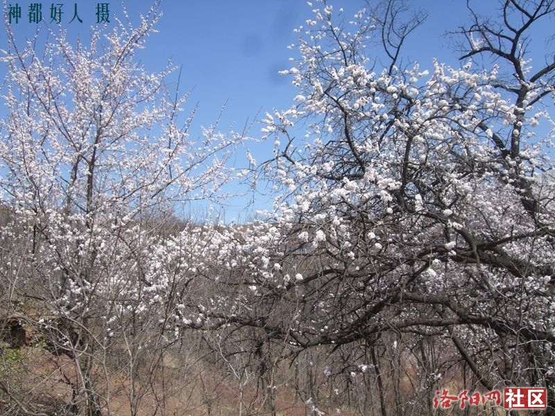 DSCF4144.JPG