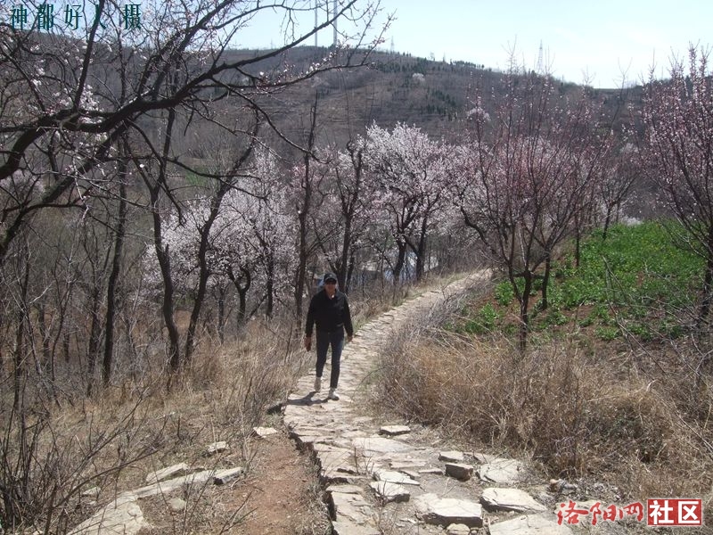 DSCF4145.JPG