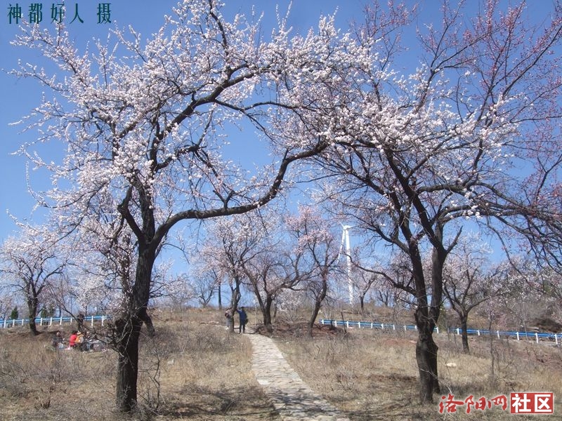 DSCF4149.JPG