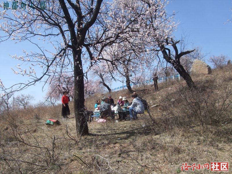 DSCF4152.JPG