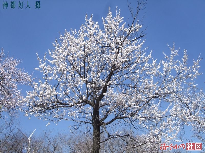 DSCF4153.JPG