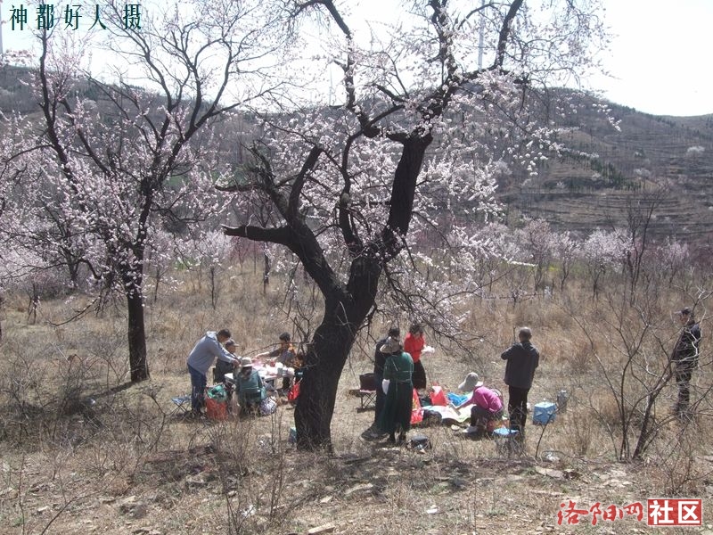 DSCF4157.JPG