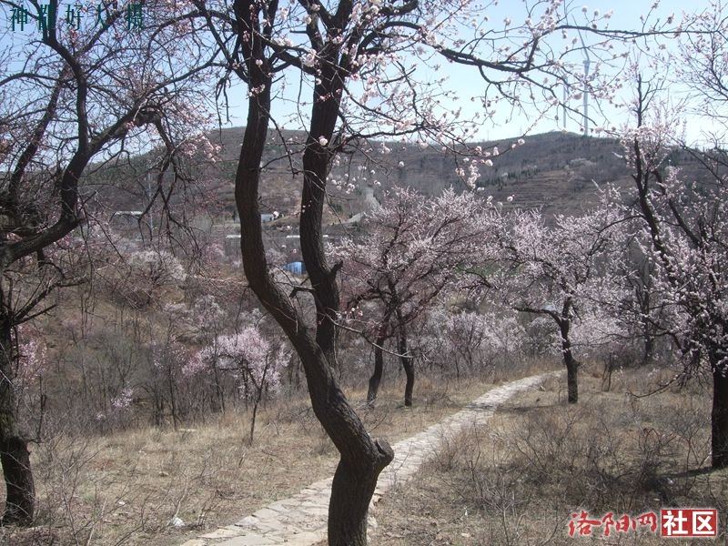 DSCF4156.JPG