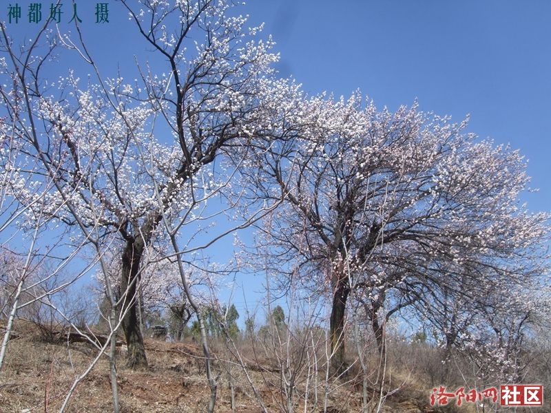 DSCF4158.JPG