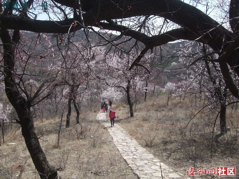 DSCF4159.JPG